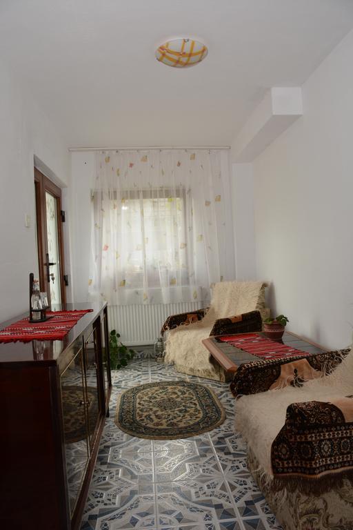 Pensiunea Margareta Sita Buzăului Екстериор снимка